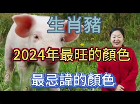 豬年幸運顏色|2024豬年開運色速查